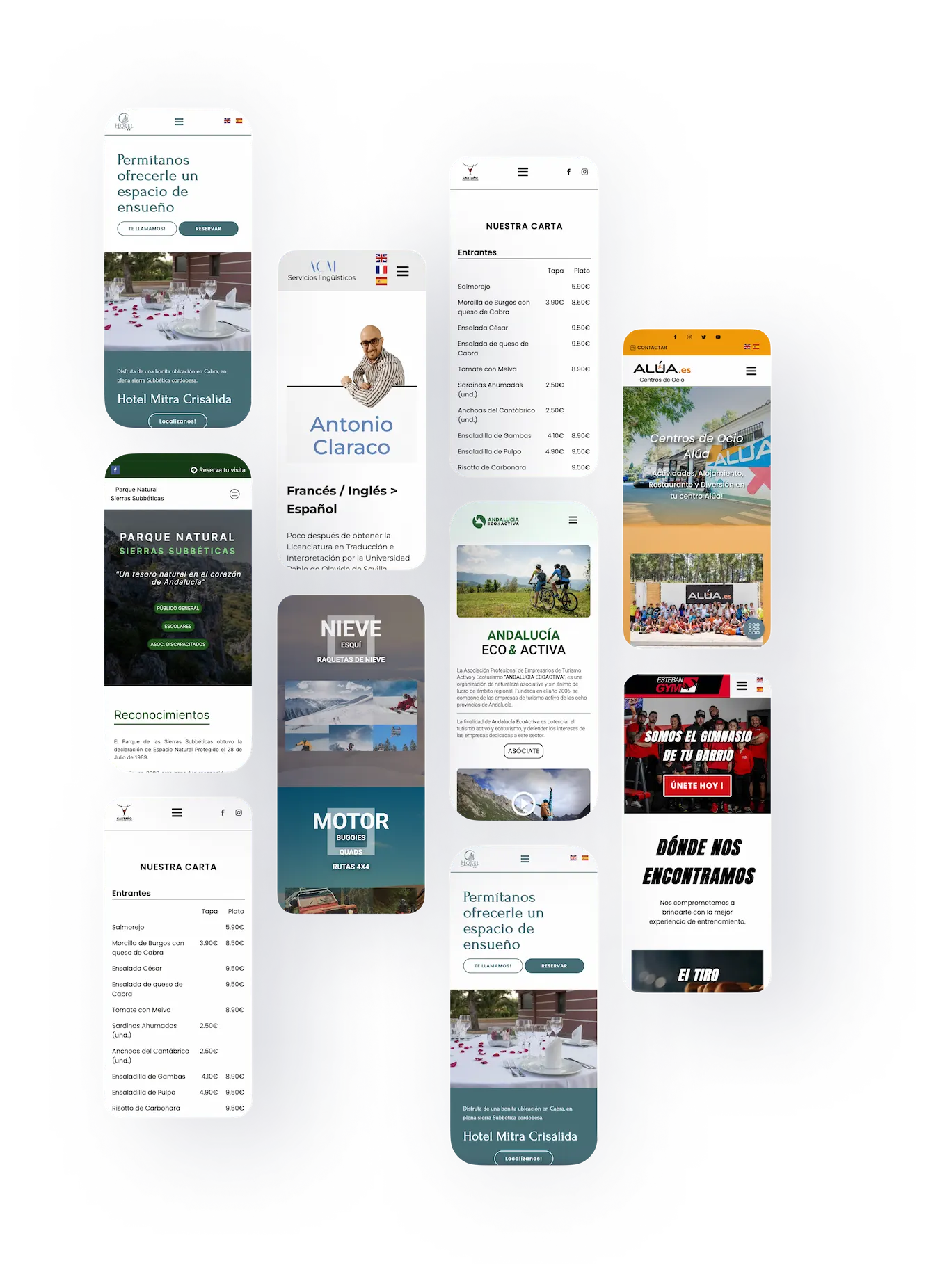 Collage diseño móvil desarrollo web Portfolio